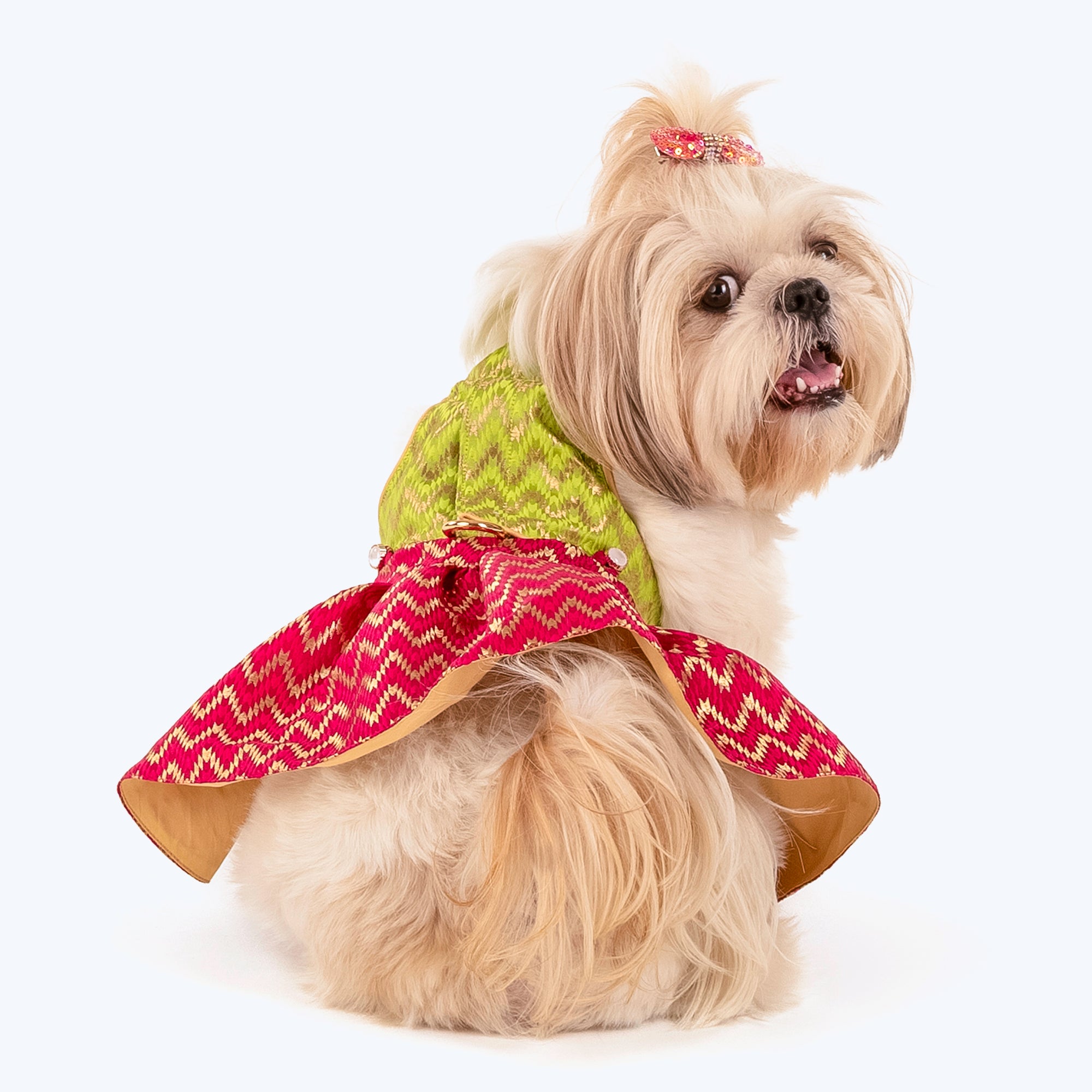 Dog party hot sale clothes