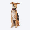 HUFT Heart Trails Collar For Dog - Red - Heads Up For Tails