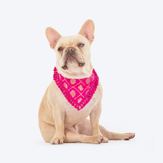 HUFT Gulabi Glow Bandana For Dog - Pink