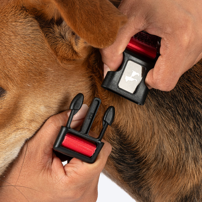 HUFT Heart Trails Collar For Dog - Red - Heads Up For Tails