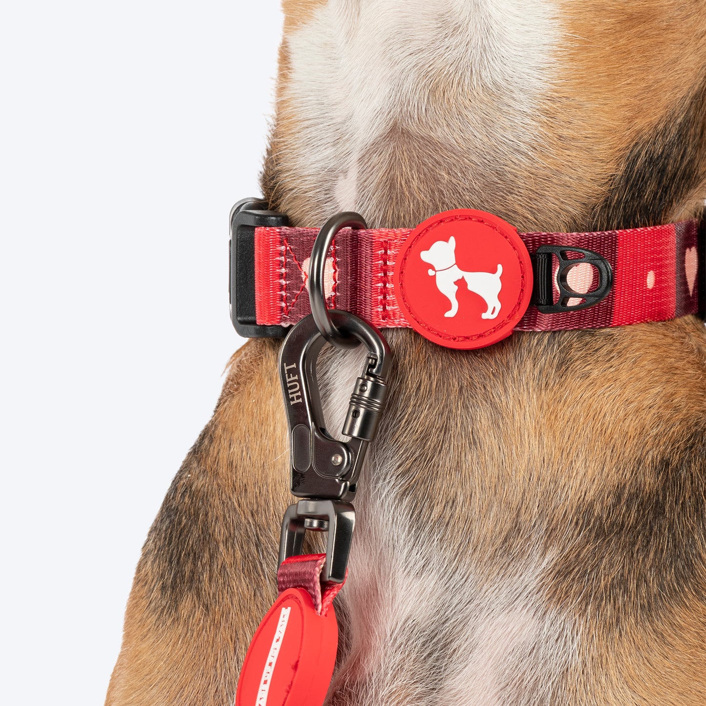 HUFT Heart Trails Leash For Dog - Red