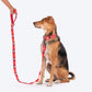 HUFT Heart Trails Leash For Dog - Red