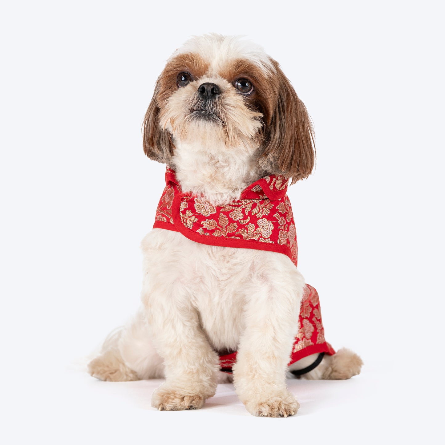 HUFT Royal Elegance Sherwani For Dog - Red - Heads Up For Tails