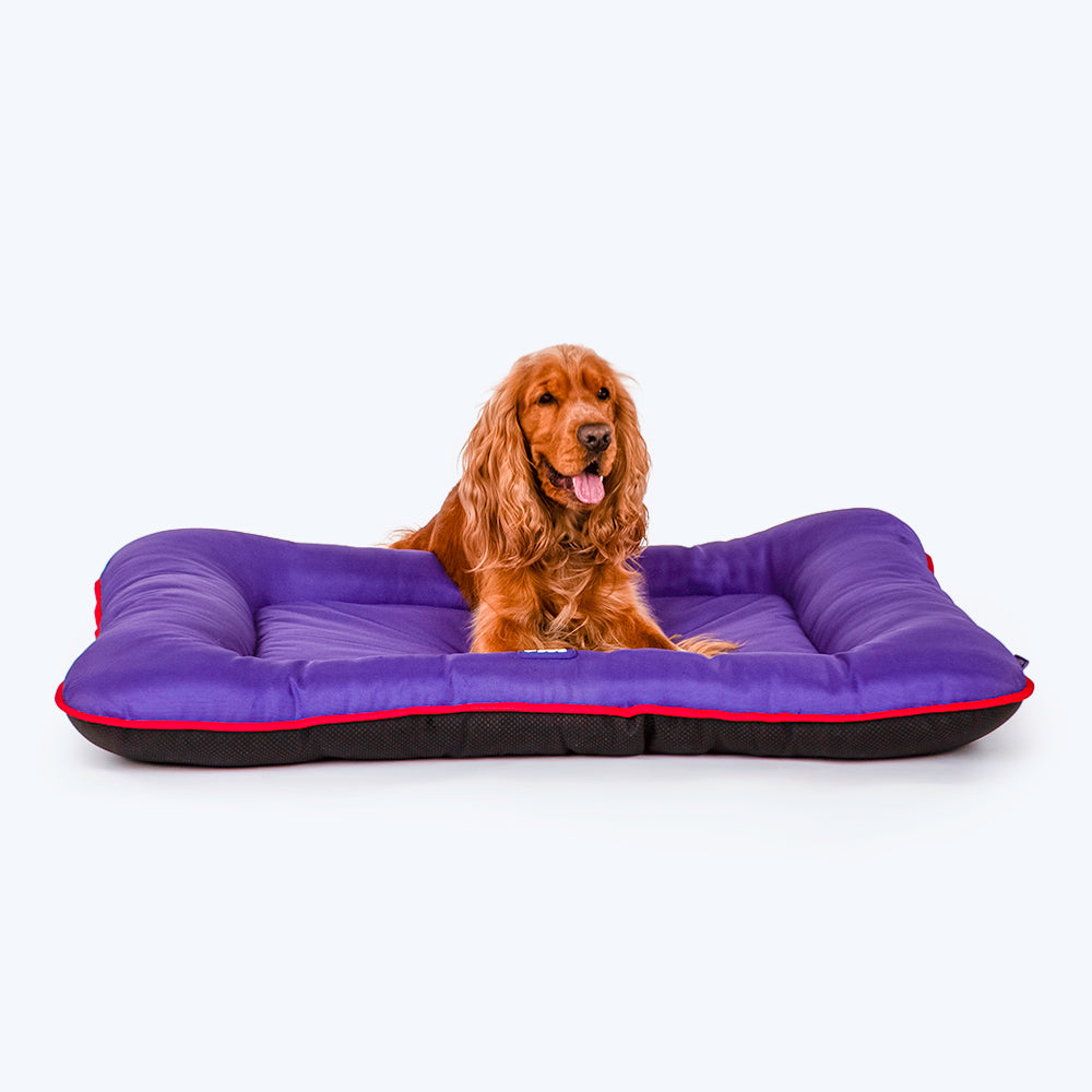 Dash Dog Snug Snoozer Mat For Dogs & Cats- Purple_03