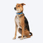 HUFT Twinkle Tails Collar For Dog - Blue