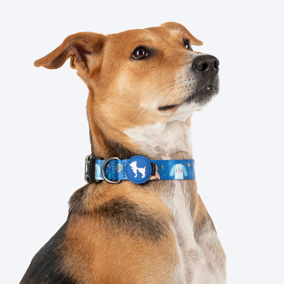 HUFT Twinkle Tails Collar For Dog - Blue - Heads Up For Tails