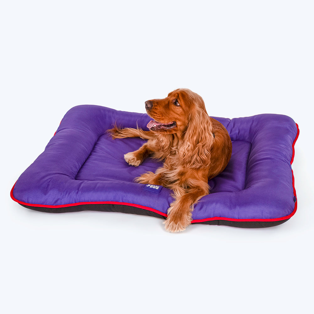 Dash Dog Snug Snoozer Mat For Dogs & Cats- Purple_04