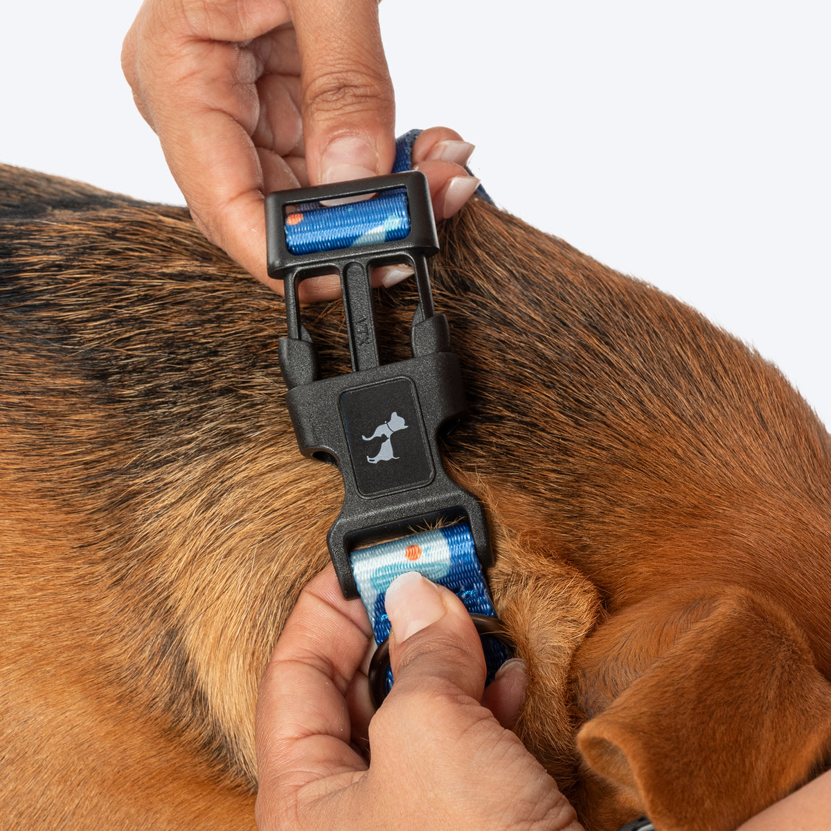 HUFT Twinkle Tails Collar For Dog - Blue - Heads Up For Tails