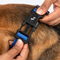 HUFT Polka Play Collar For Dog - Blue