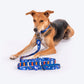 HUFT Polka Play Leash For Dog - Blue