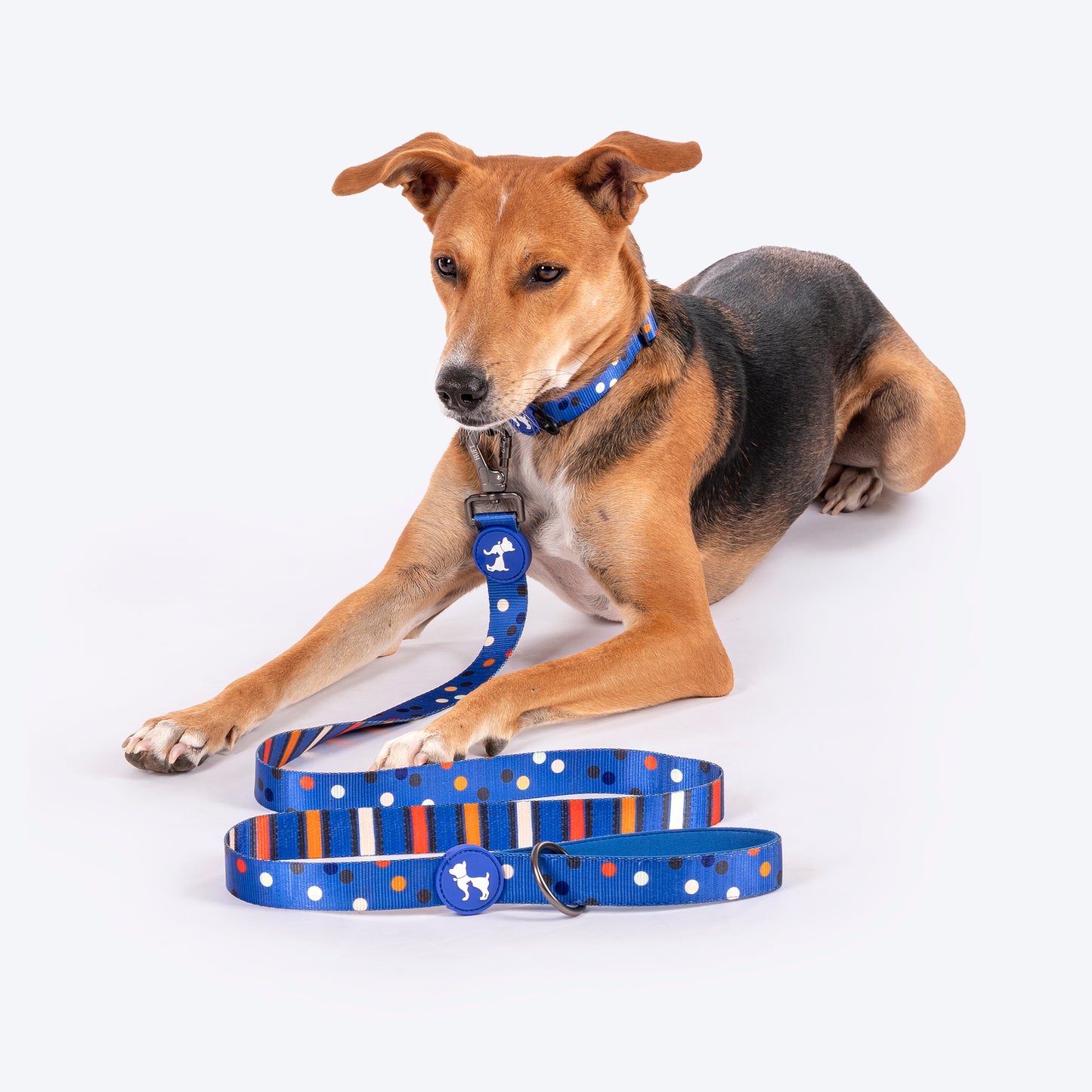 HUFT Polka Play Leash For Dog - Blue