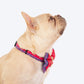 HUFT Desi Glam Bow Tie With Strap For Dog - Pink & Purple