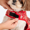 HUFT Royal Elegance Sherwani For Dog - Red - Heads Up For Tails