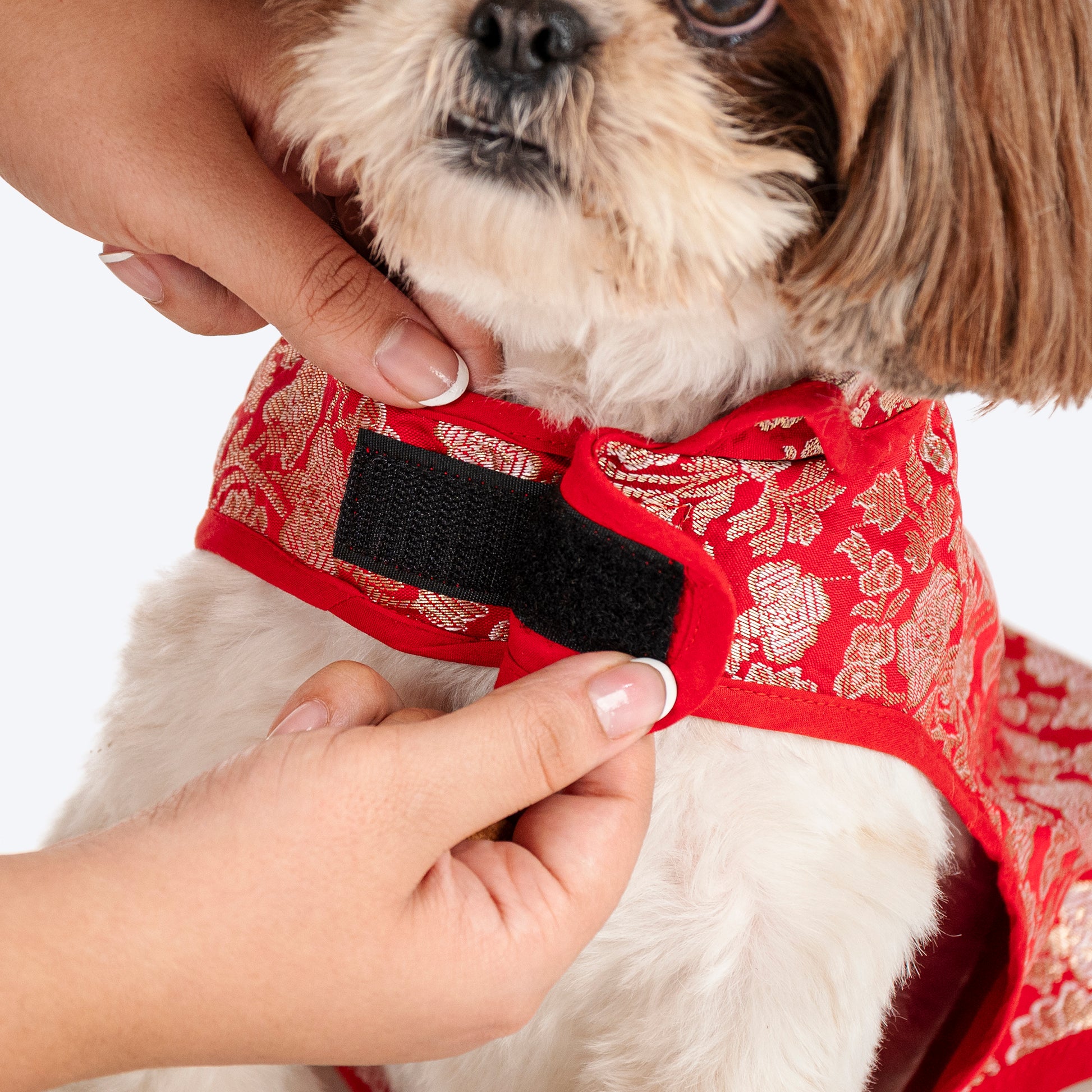 HUFT Royal Elegance Sherwani For Dog - Red - Heads Up For Tails