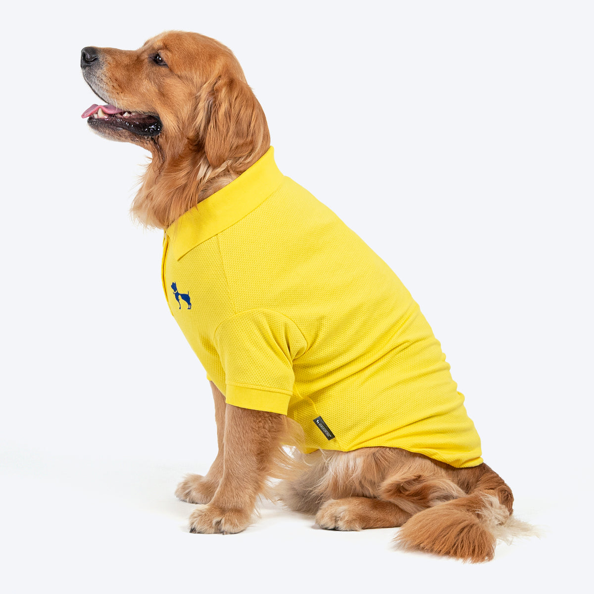 HUFT Polo Tees For Dogs & Cats - Yellow - Heads Up For Tails