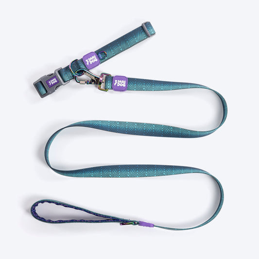 Dash Dog Trail Tails Waterproof Dog Collar & Leash Set - Blue