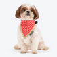 HUFT Desi Regal Bandana For Dog - Coral