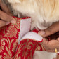 HUFT Customised Sona Sitara Brocade Lehenga Dress For Dog & Cat - Red