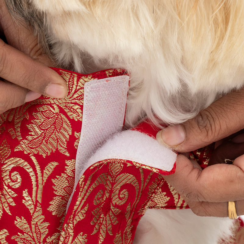 HUFT Customised Sona Sitara Brocade Lehenga Dress For Dog & Cat - Red - Heads Up For Tails