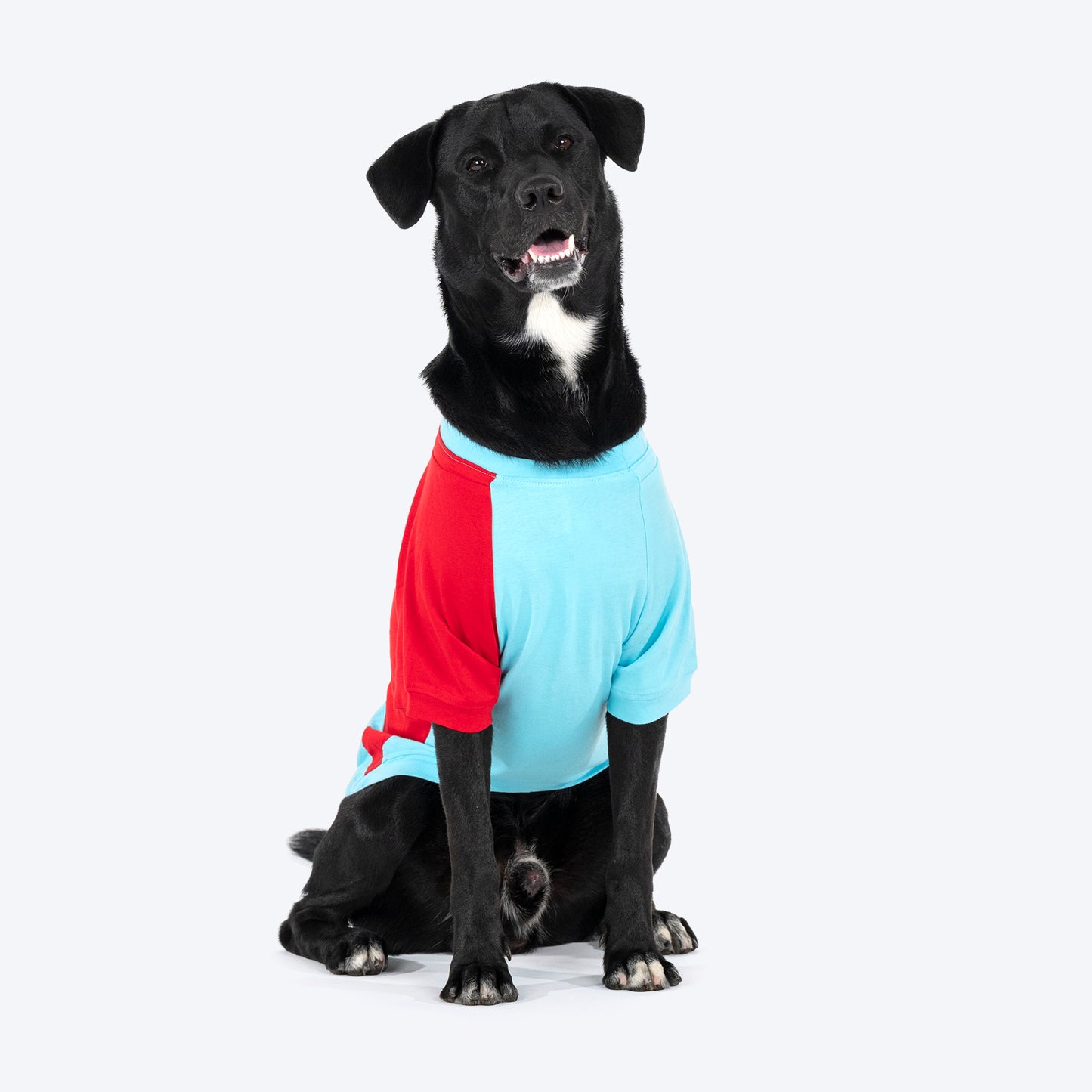 TLC Color Block T-Shirt For Dogs - Blue - Heads Up For Tails