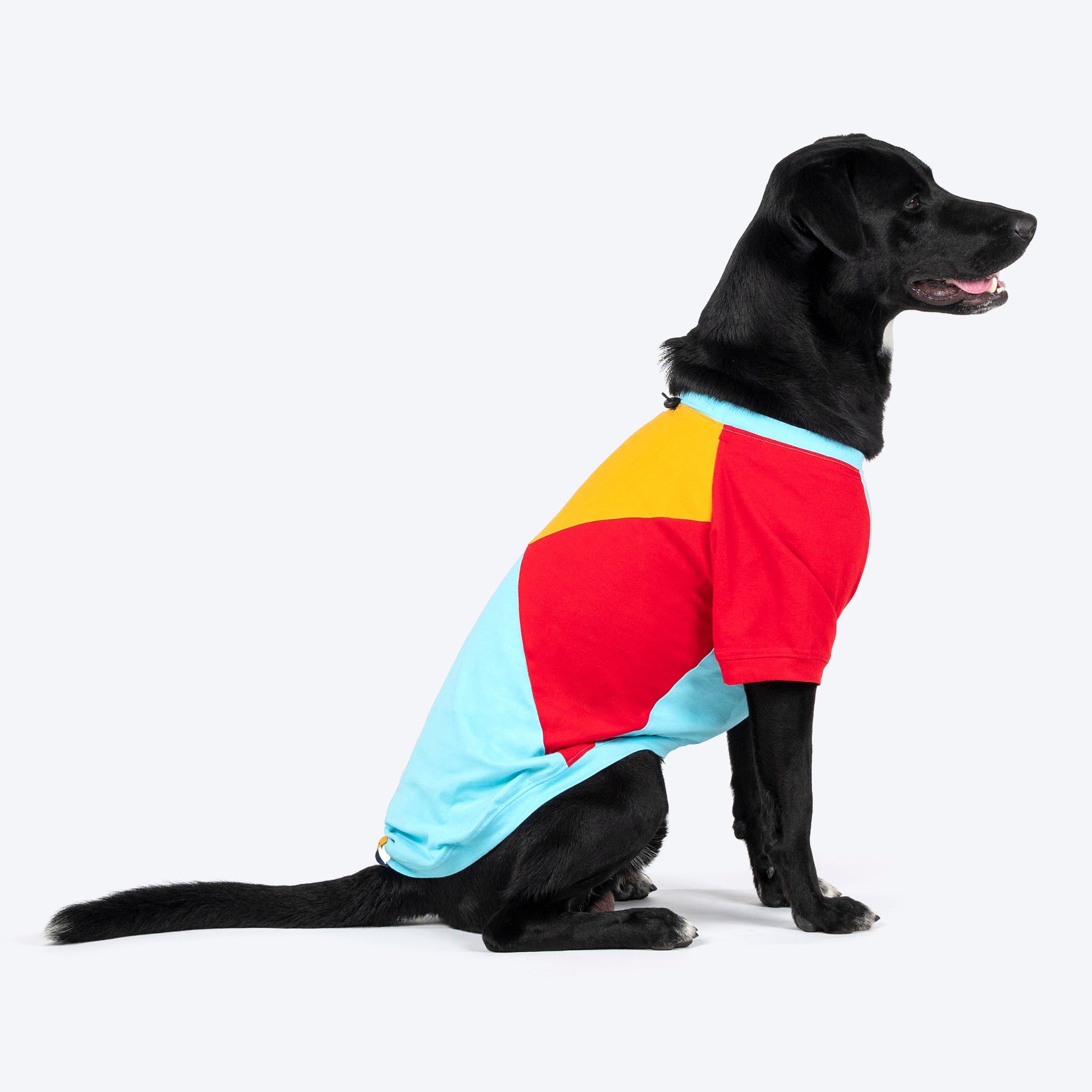 TLC Color Block T-Shirt For Dogs - Blue - Heads Up For Tails