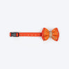 HUFT Desi Dazzle Bow Tie With Strap For Dog - Orange - Heads Up For Tails