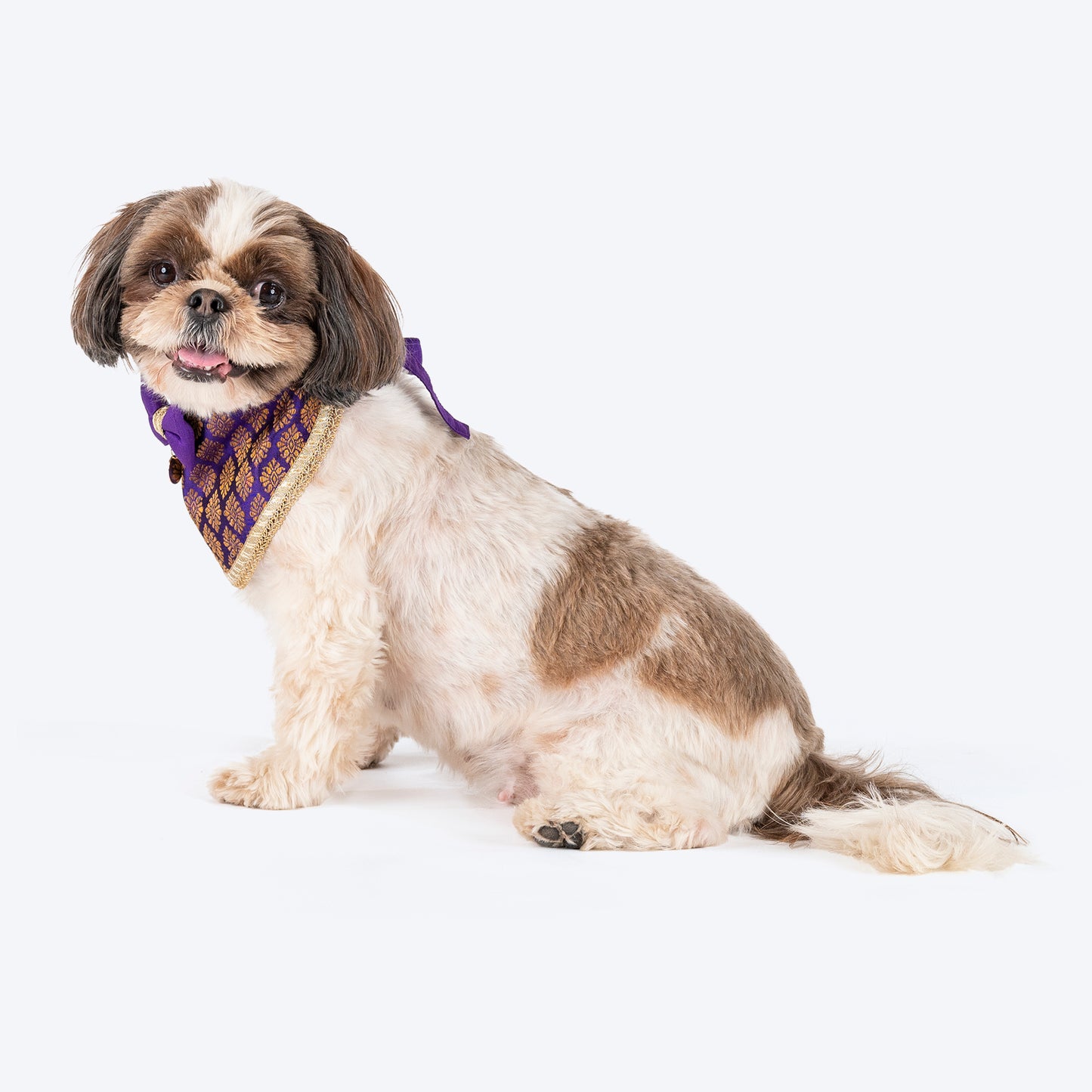 HUFT Desi Regal Bandana For Dog - Violet