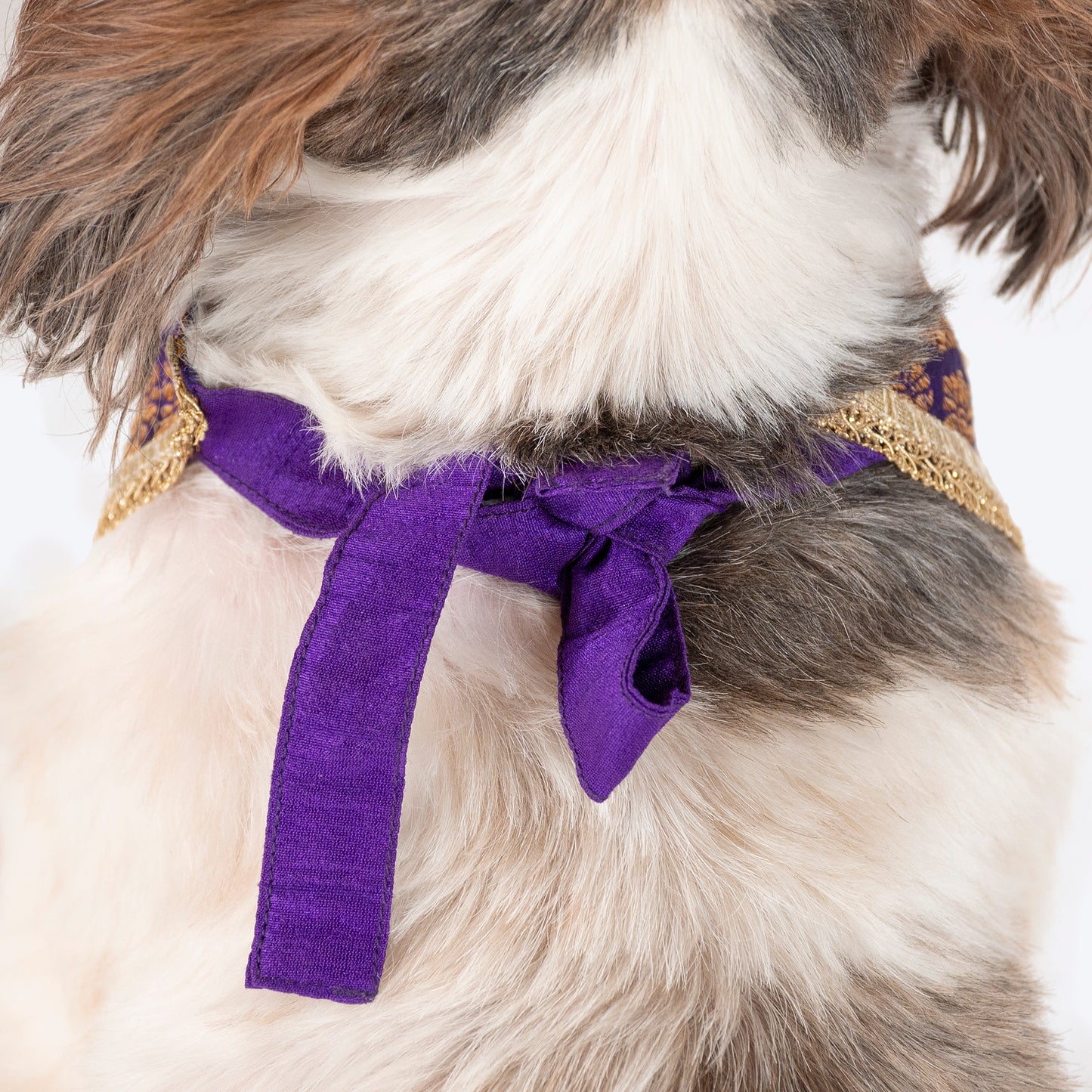 HUFT Desi Regal Bandana For Dog - Violet