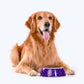 HUFT Polka Sunshine Melamine Bowl For Dog & Cat - Violet - Heads Up For Tails