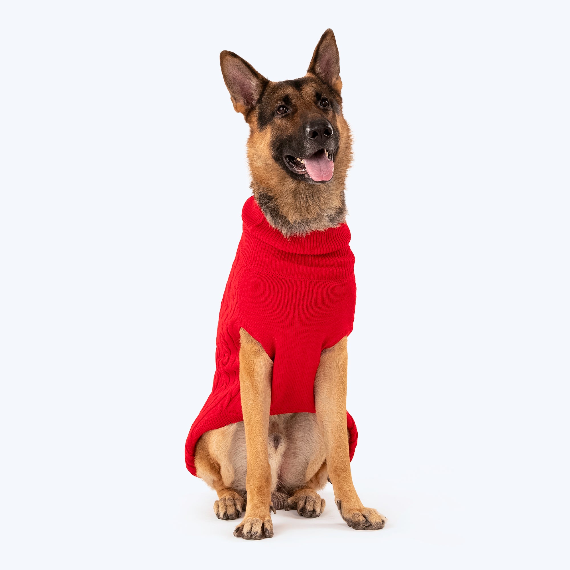 HUFT Cable Knit Sweater For Dog Red