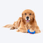 Dash Dog Sprinter Fetch Toy For Dog - Blue & Red - S_04