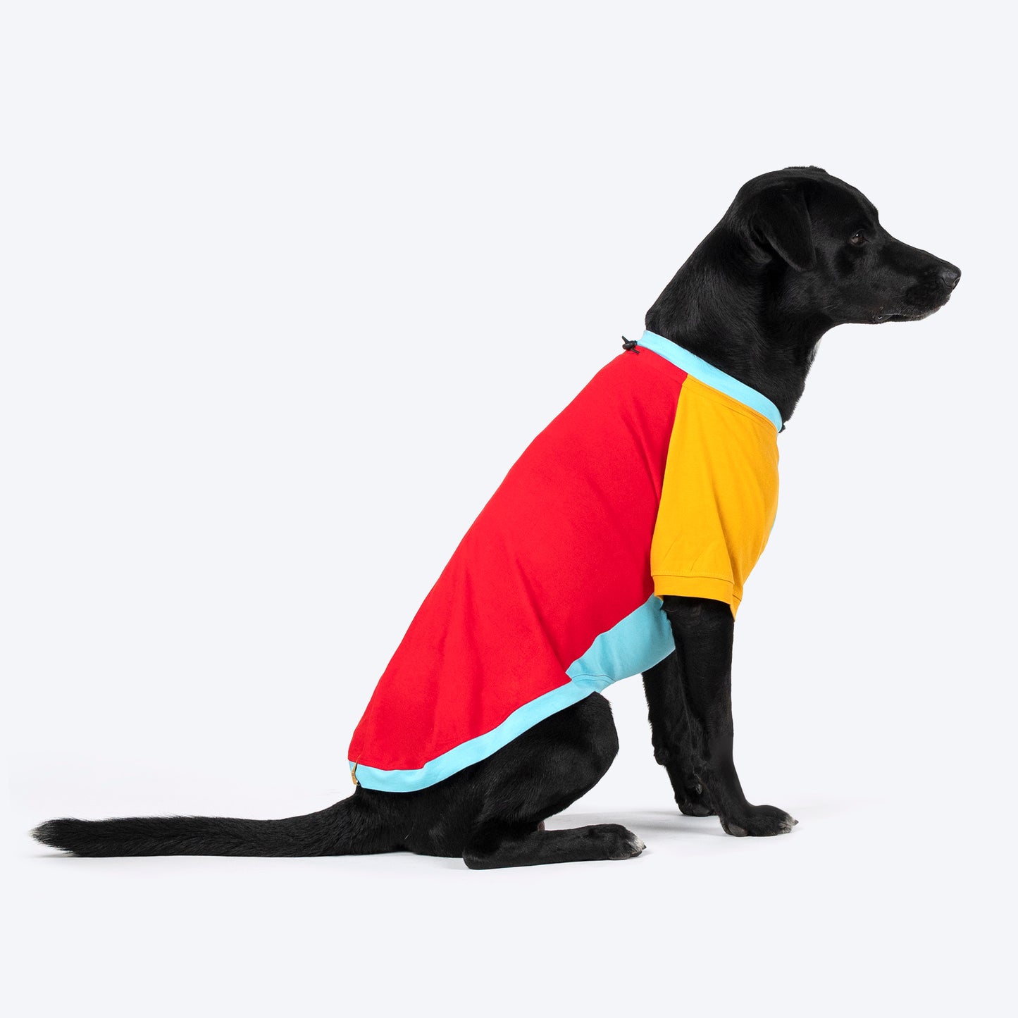 TLC Color Block T-Shirt For Dogs - Red - Heads Up For Tails