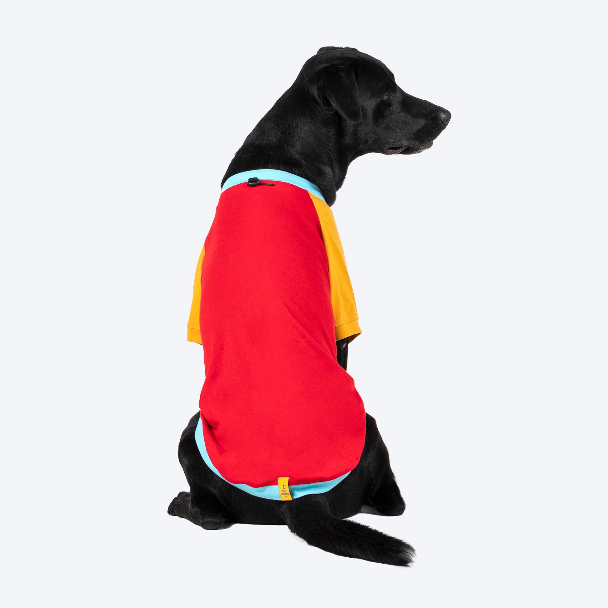 TLC Color Block T-Shirt For Dogs - Red - Heads Up For Tails