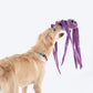 HUFT Spider Big Cuddle Toy For Dogs - Heads Up For Tails