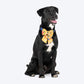HUFT Blooming Days Printed Lady Bow Tie for Dog - Yellow - Heads Up For Tails