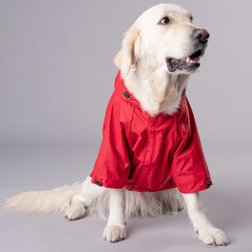 HUFT Customised Magical Mist Dog Raincoat_11