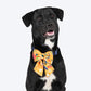 HUFT Blooming Days Printed Lady Bow Tie for Dog - Yellow - Heads Up For Tails