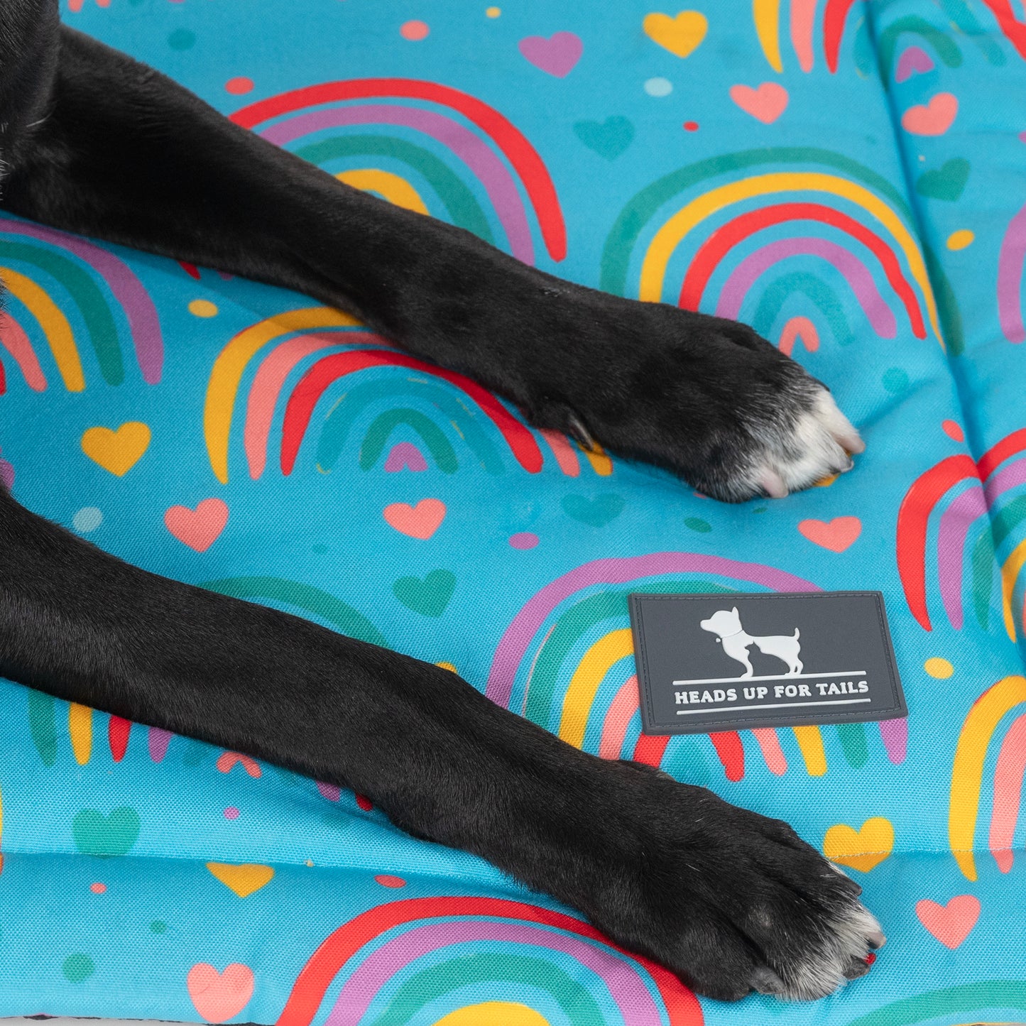 HUFT Over The Rainbow Mat For Dog & Cat - Blue - Heads Up For Tails