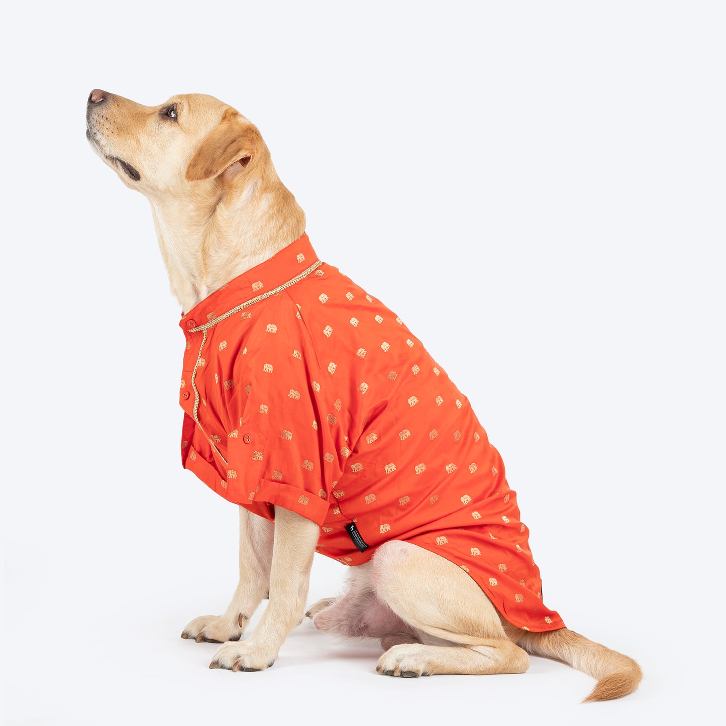 HUFT Royal Elephant Brocade Kurta For Dog - Orange