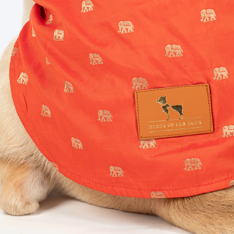 HUFT Royal Elephant Brocade Kurta For Dog - Orange - Heads Up For Tails