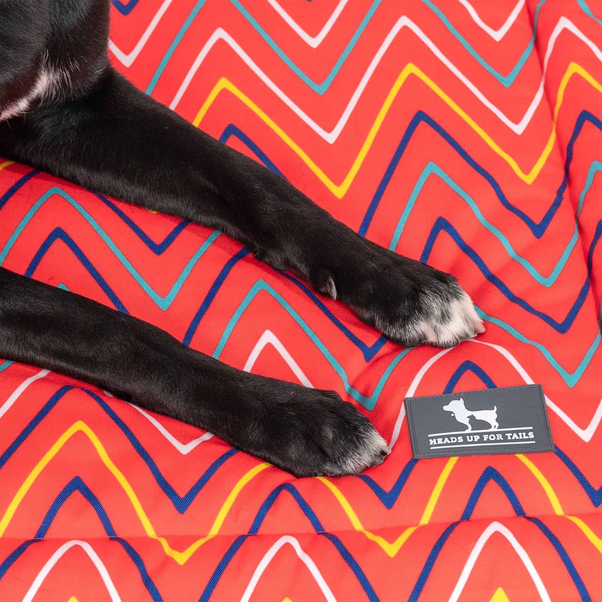 HUFT Zesty Zoomies Mat For Dog & Cat - Red - Heads Up For Tails