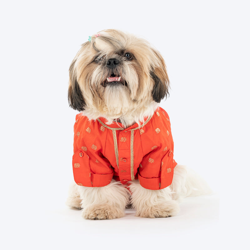 HUFT Royal Elephant Brocade Kurta For Dog - Orange - Heads Up For Tails