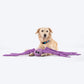 HUFT Spider Big Cuddle Toy For Dogs - Heads Up For Tails
