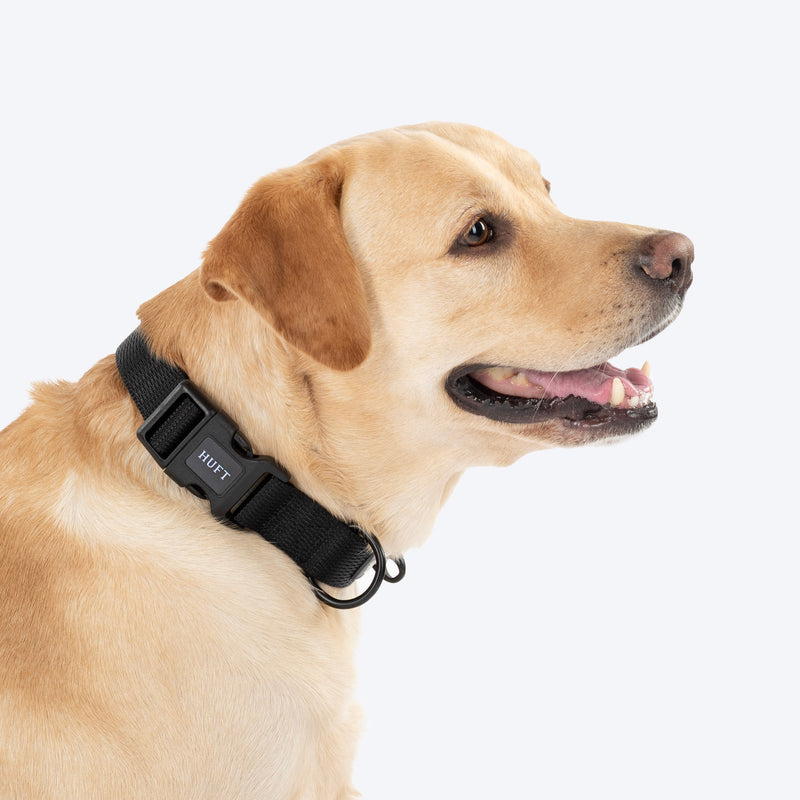 HUFT Classic Collar For Dog - Coal Black - Heads Up For Tails