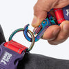 Dash Dog Dual Handle Leash For Dog - Red & Purple