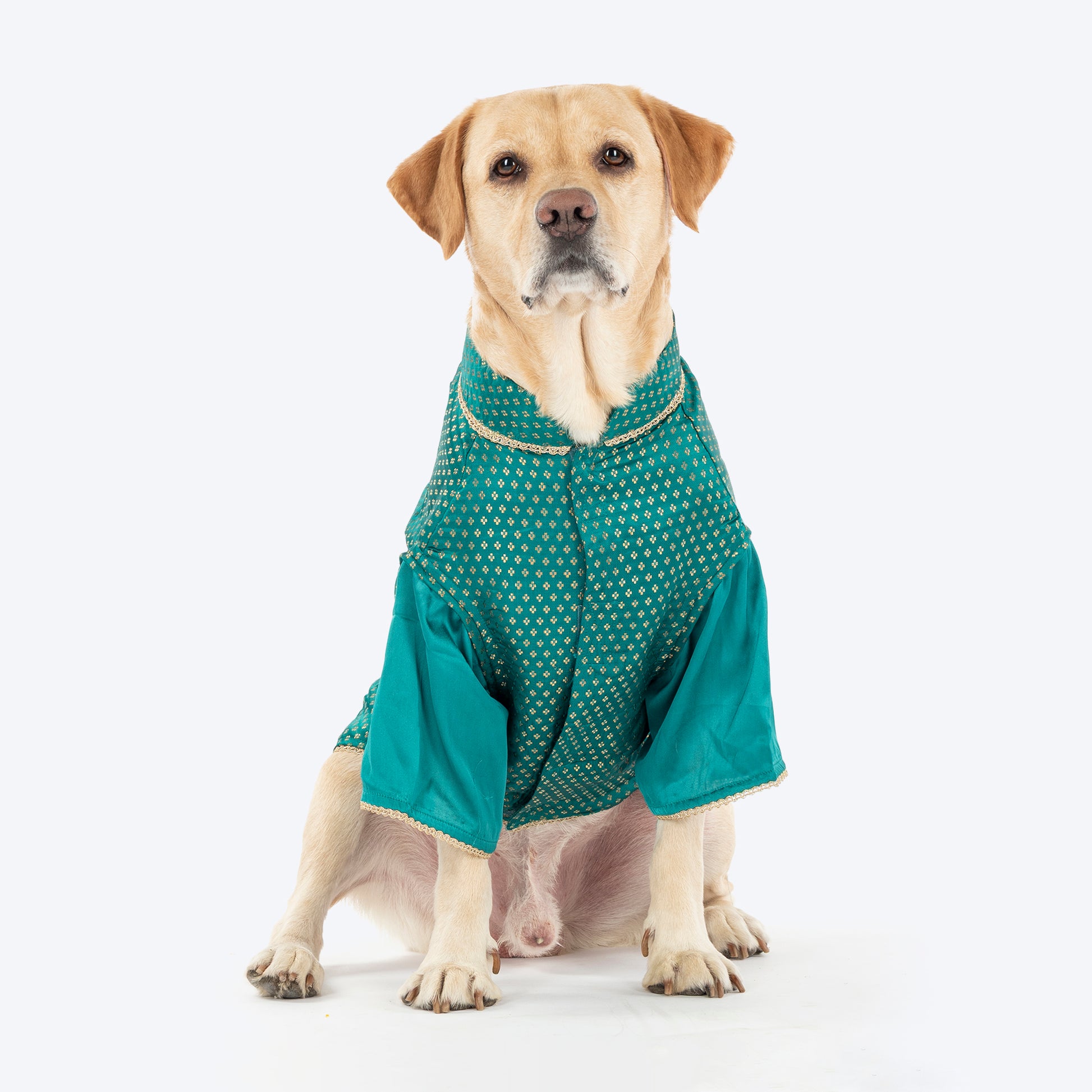 HUFT Shahi Paws Kurta For Dog & Cat - Green - Heads Up For Tails