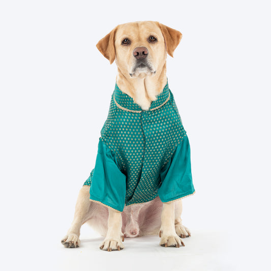 HUFT Shahi Paws Kurta For Dog & Cat - Green