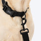 HUFT Classic Personalised (Mobile No.) Dog Leash - Coal Black - Heads Up For Tails