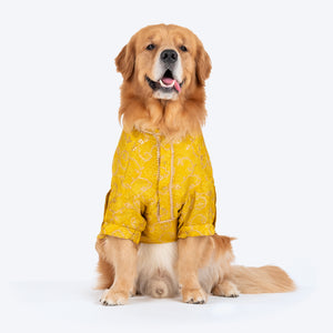 HUFT Festive Bliss Kurta For Dog - Yellow - Heads Up For Tails