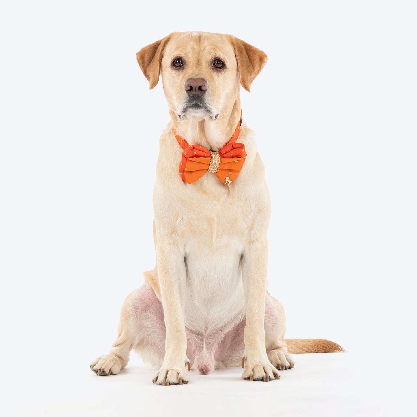 HUFT Desi Dazzle Bow Tie With Strap For Dog - Orange - Heads Up For Tails